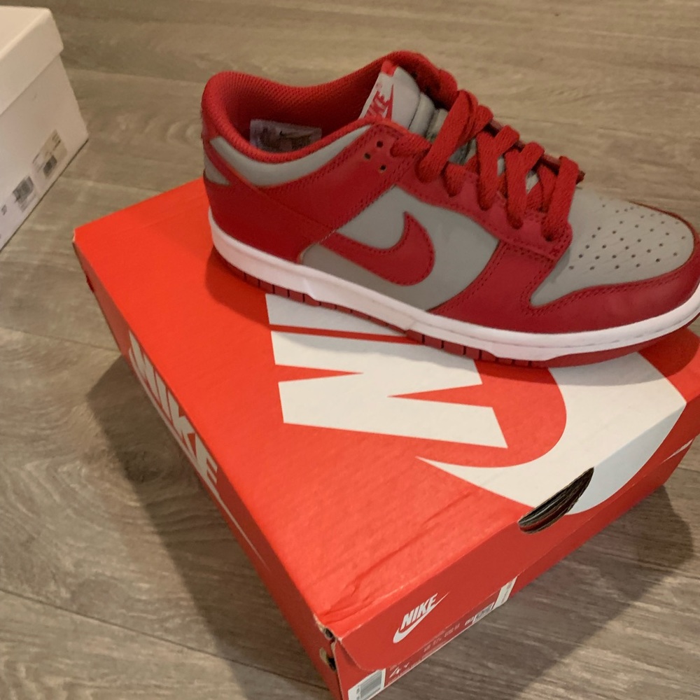 Kids dunks